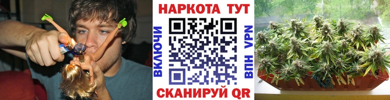 Где продают наркотики Дорогобуж A-PVP АМФЕТАМИН Каннабис