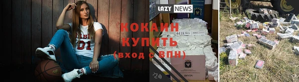 не бодяженный Арсеньев