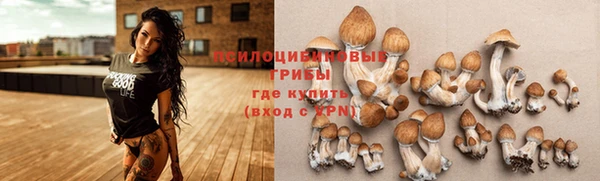 не бодяженный Арсеньев