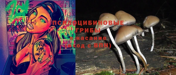 дурь Армянск