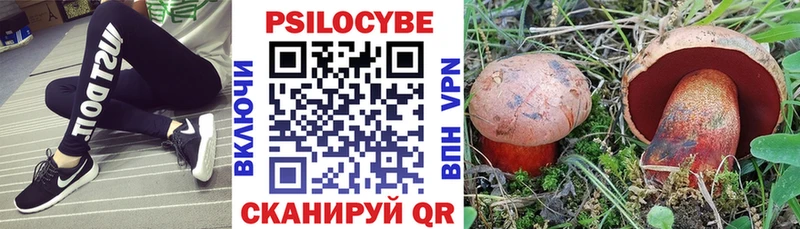 купить закладку  Дорогобуж  Псилоцибиновые грибы мицелий 