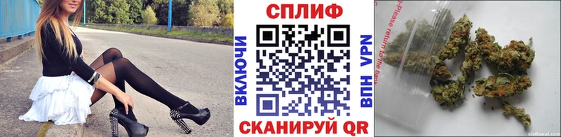 Конопля план Дорогобуж